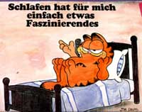 Der MittagsSchlaf